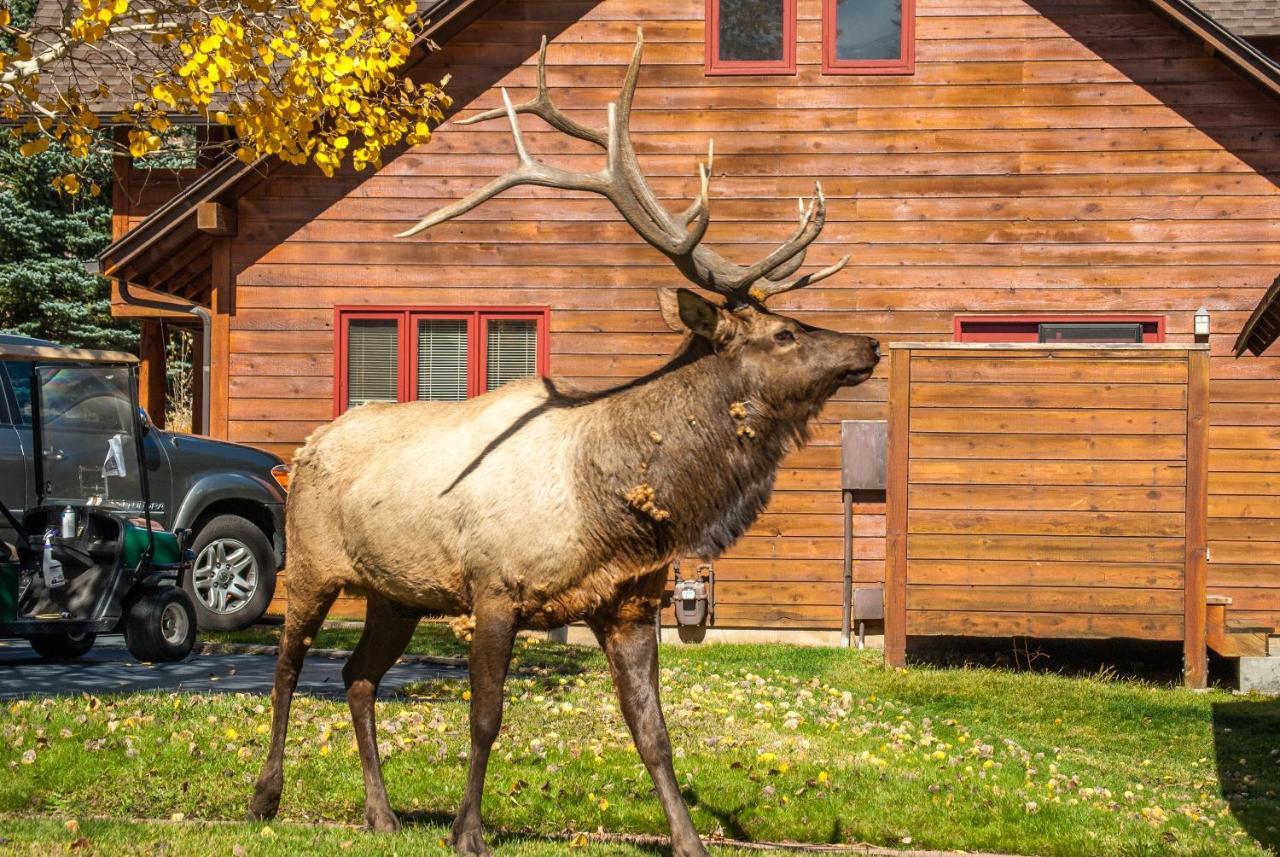 Rams Horn Village Resort Estes Park Exterior photo